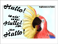 Papagei mit zum Gruß erhobenem Flügel: “Hallo! Ich wollt' einfach nur Hallo sagen. Also: Hallo!”