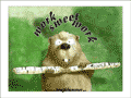 Biber, der dabei ist einen Baumstamm durchzunagen: “Work Sweet Work!”