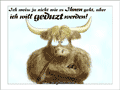 Schottischer Hochlandbulle mit verschränkten Armen: “Ich weiss ja nicht wie es Ihnen geht, aber ich will geduzt werden!”